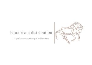 Equidream Distribution